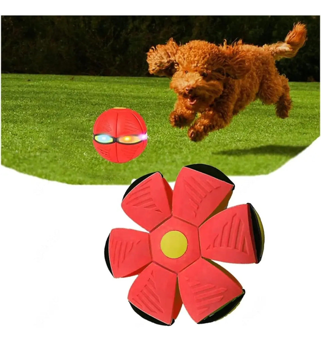 Pelota Frisbee 2 En 1 Juguete Perro Niño Con Luces Platillo - vista 9
